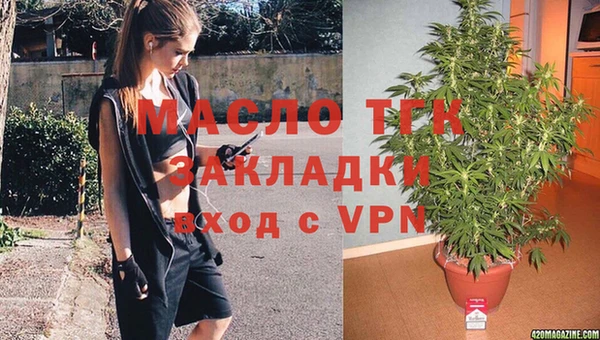 мдпв Дмитров