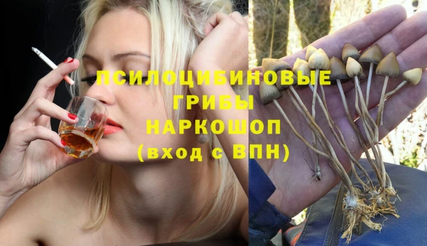 мдпв Дмитров