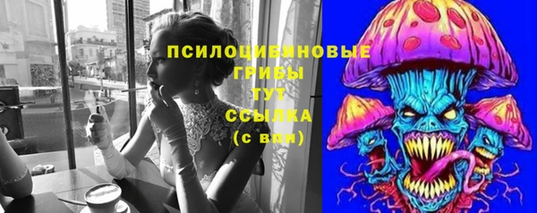 прущая мука Гусев