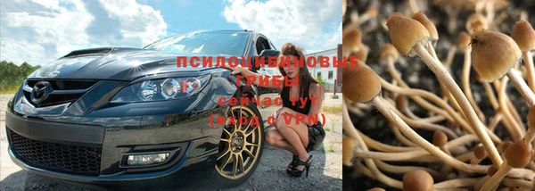 кокс Гусь-Хрустальный