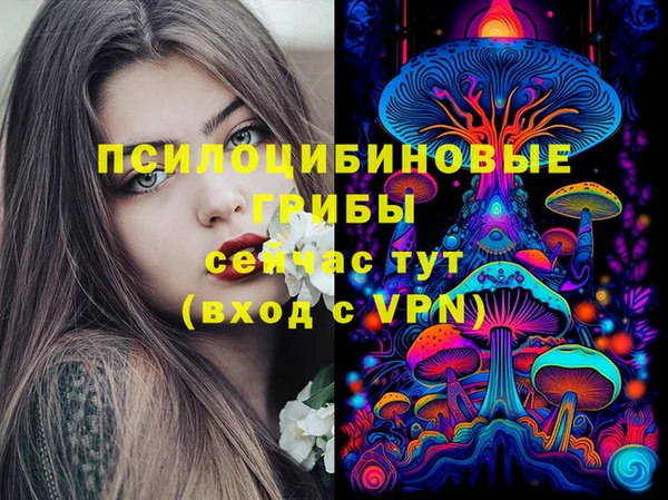 герыч Тобольск