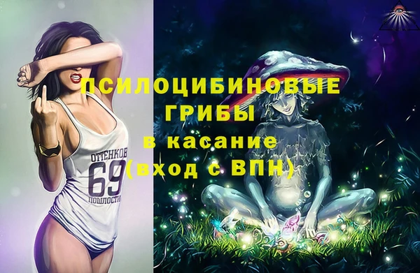 трава Дмитриев