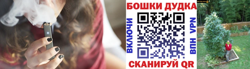 купить закладку  Салаир  Каннабис планчик 